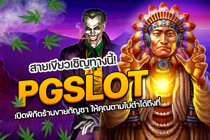 สายเขียวเชิญทางนี้! SUPERSLOT เปิดพิกัดร้านขายกัญชา ให้คุณตามไปตำได้ถึงที่